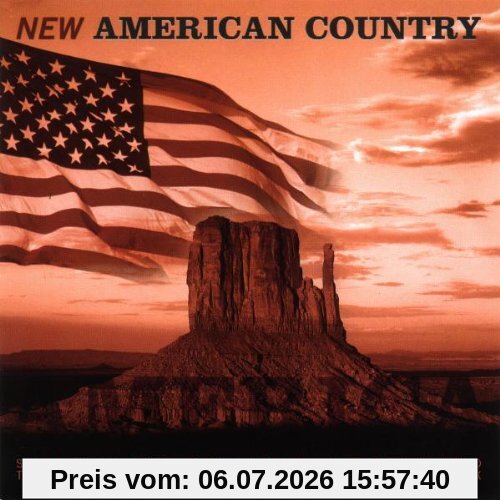 Various New American Country Vol.2