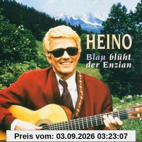 Blau Blüht Der Enzian