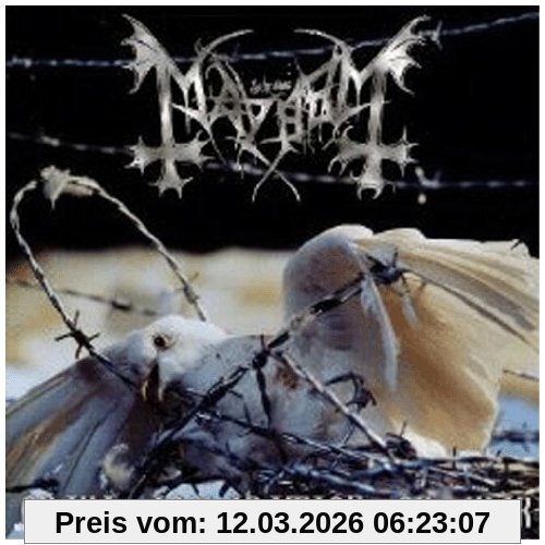 mayhem Grand Declaration Of War