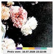 New Order Power, Corruption & Lies