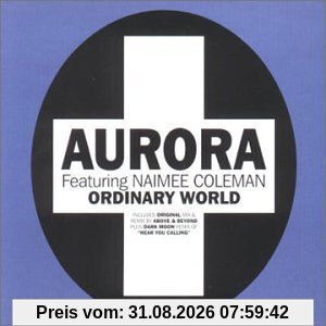 Ordinary World