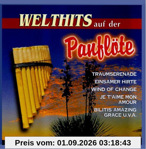 Welthits auf der Panflöte