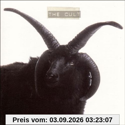 The Cult
