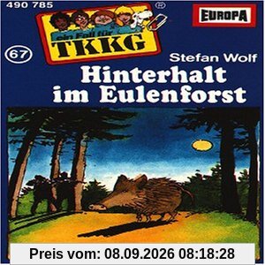 067/Hinterhalt im Eulenforst [Musikkassette]