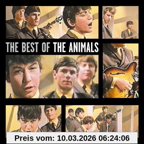 Best Of The Animals
