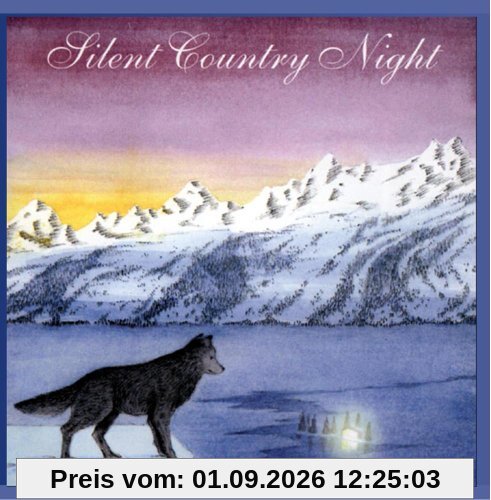 Silent Country Night