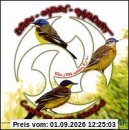 Trois P'tits Oiseaux,Il Y a...