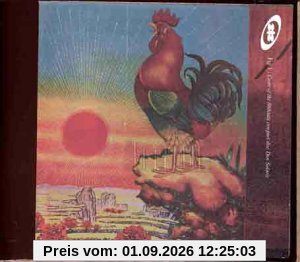 Don Solaris