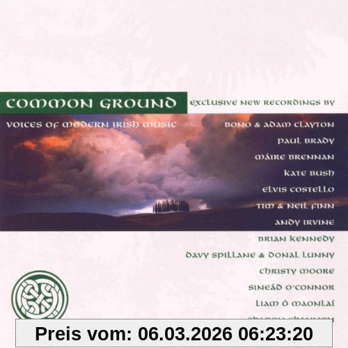 Various Common Ground - Voices Of Modern Irish Music