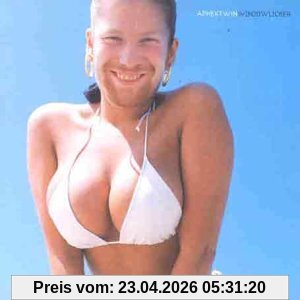 Windowlicker [Vinyl Single]