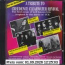 A Tribute to Creedence Clearw.