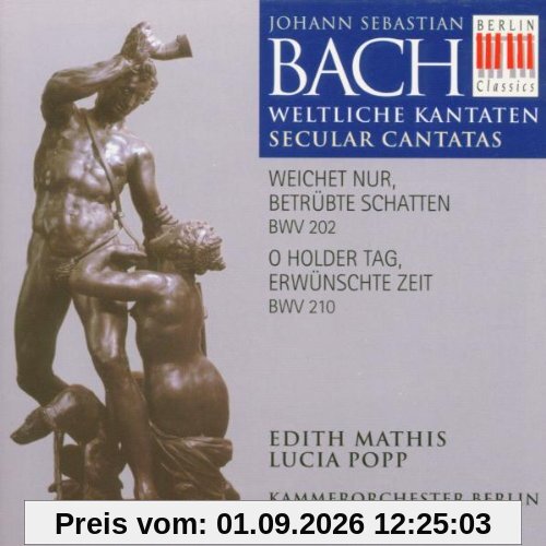 Weltliche Kantaten