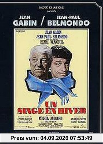 Un singe en hiver [FR Import]