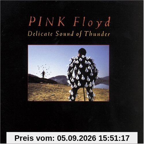 Delicate Sound of Thunder