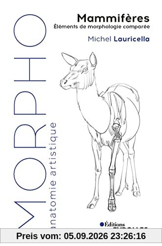 Mammifères : éléments de morphologie comparée