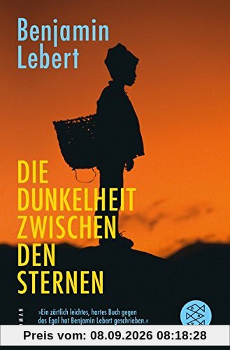 Die Dunkelheit zwischen den Sternen: Roman