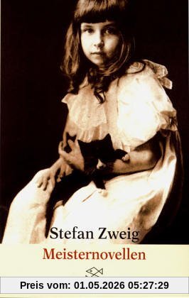 Meisternovellen