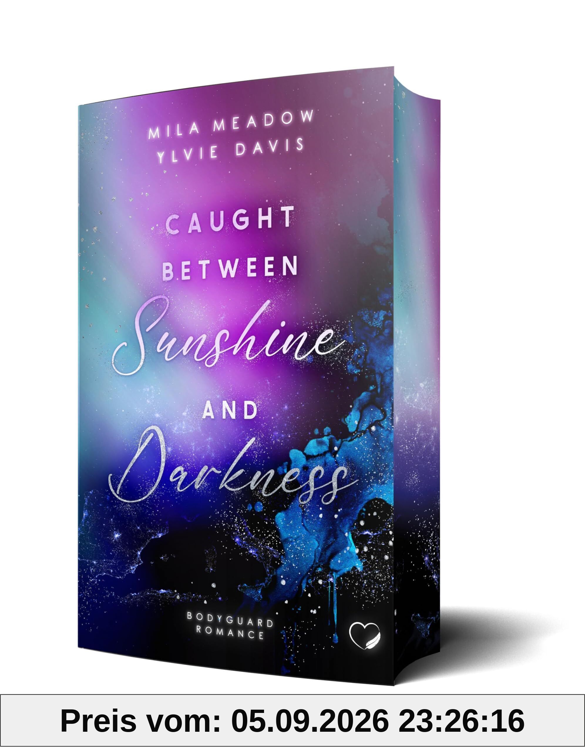 Caught between Sunshine and Darkness: Bodyguard Romance