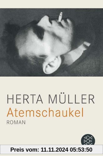 Atemschaukel: Roman