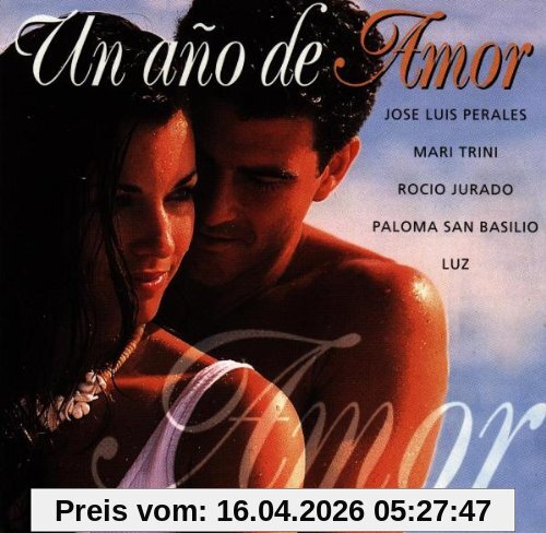 Un Ano de Amor