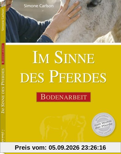 Im Sinne des Pferdes: Bodenarbeit
