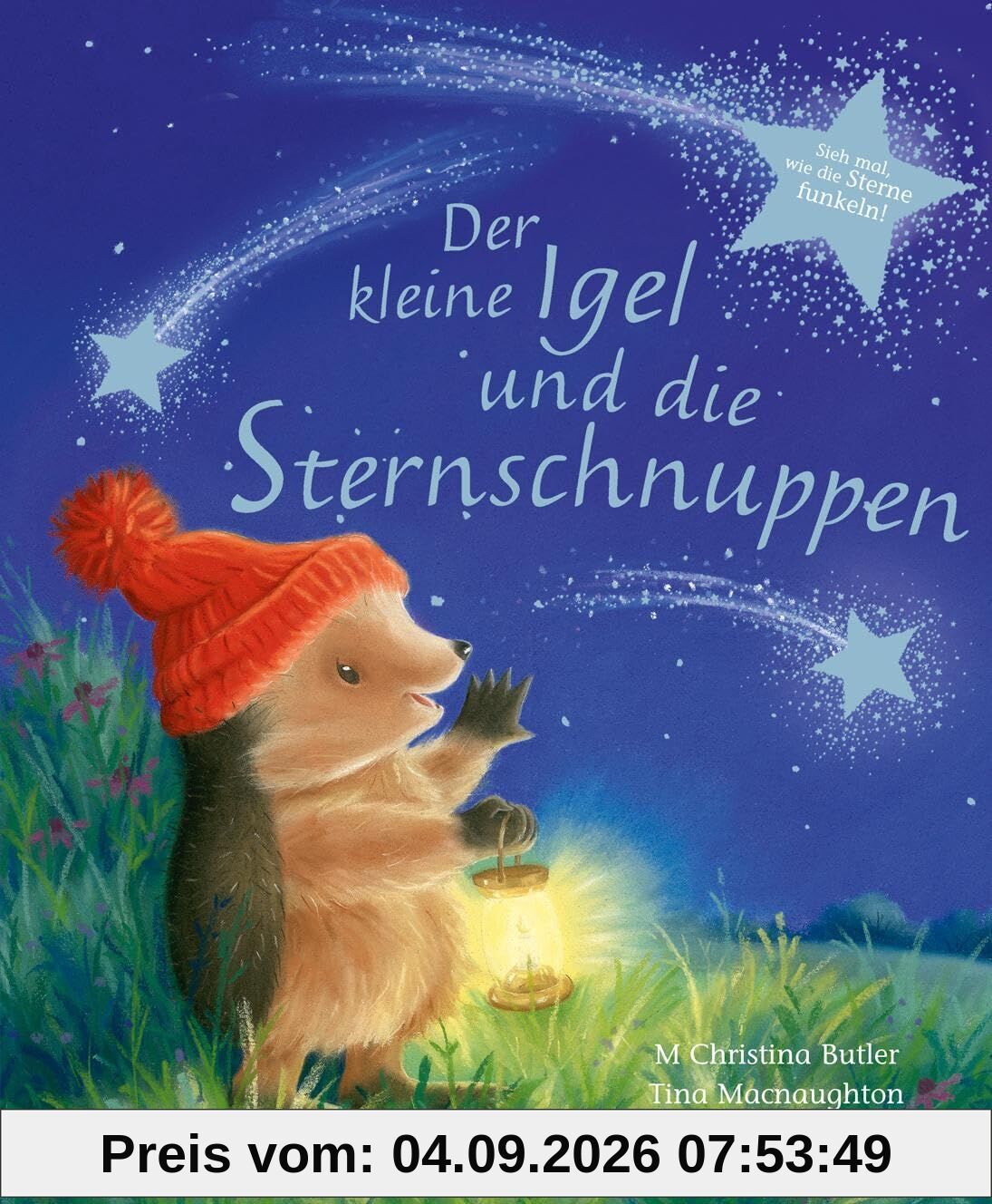 Der kleine Igel und die Sternschnuppen