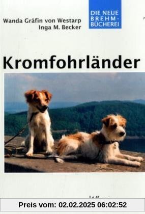 Kromfohrländer