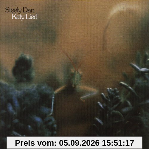 Katy Lied