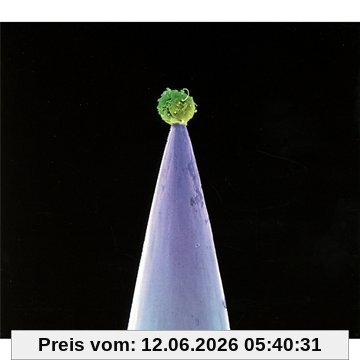 Peter Gabriel New Blood