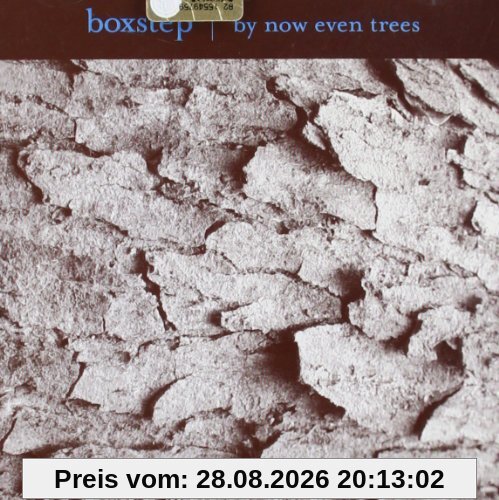 By Now Even Trees
