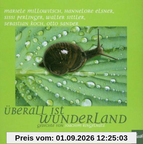 Überall ist Wunderland