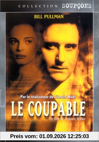 Le Coupable