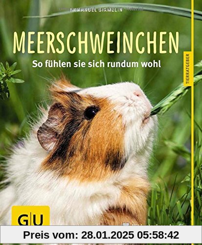 Meerschweinchen: So fühlen sie sich rundum wohl (GU Tierratgeber)