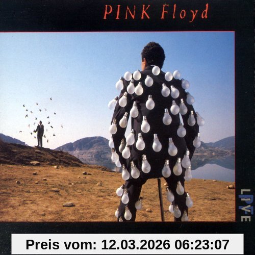 Pink Floyd Delicate Sound Of Thunder