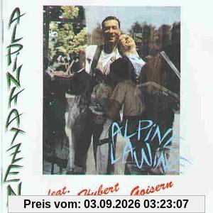 Alpine Lawine