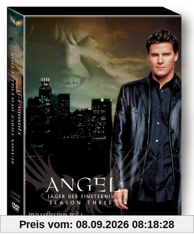 Angel - Jäger der Finsternis: Season 3.1 Collection [3 DVDs]
