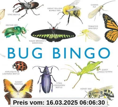 Bug Bingo (Magma for Laurence King)