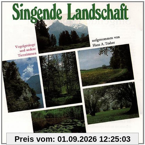 Singende Landschaft