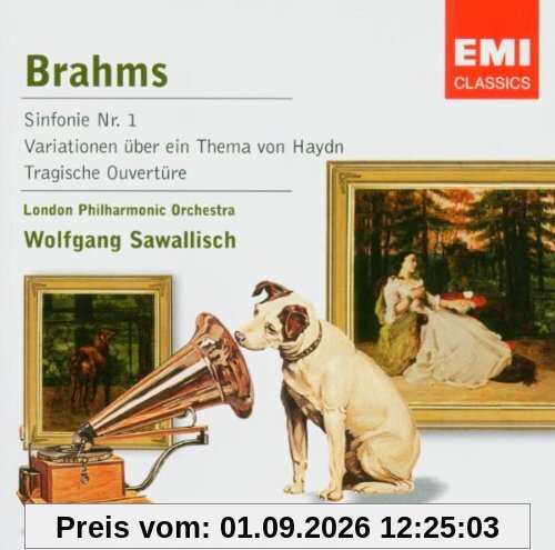 Sinfonie 1/Haydn-Var.