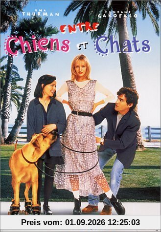Entre chiens et chats