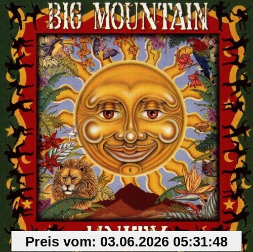 Big Mountain Unity