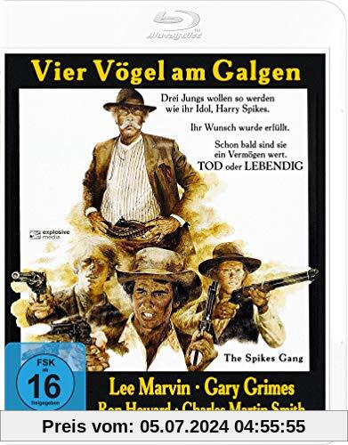 Vier Vögel am Galgen (The Spikes Gang) [Blu-ray]