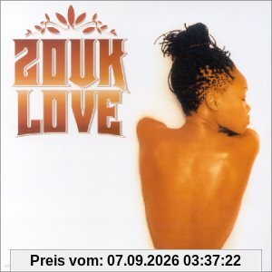 Zouk Love en Francais Vol.2