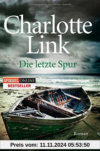 Die letzte Spur: Roman