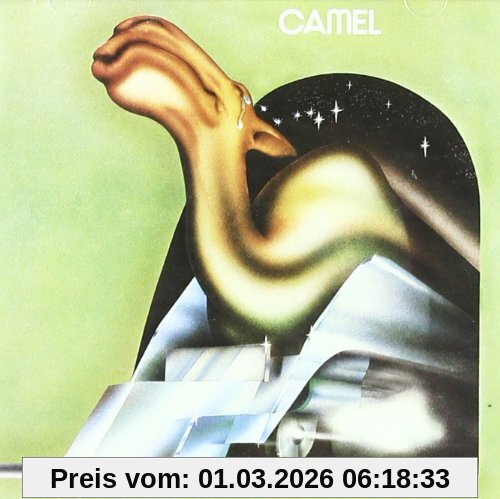 Camel
