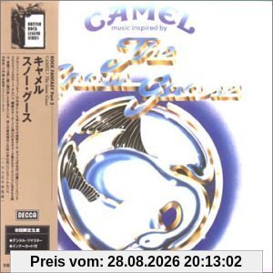 Snow Goose