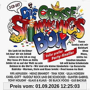 Die Grosse Stimmungs-Box
