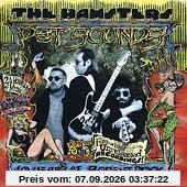 Pet Sounds-Ten Years of Rodent