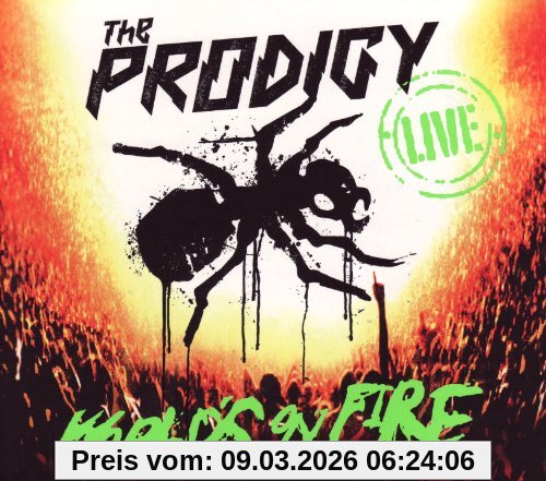 Prodigy Worlds On Fire
