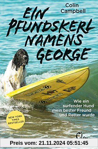 Ein Pfundskerl namens George: Wie ein surfender Hund mein bester Freund und Retter wurde